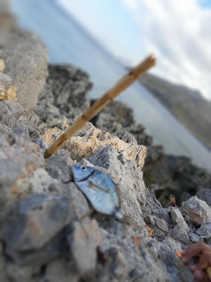 Appartamento FlorAns Alto San Vito Lo Capo Esterno foto