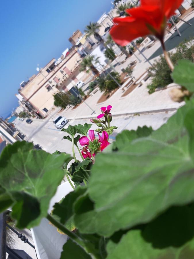 Appartamento FlorAns Alto San Vito Lo Capo Esterno foto